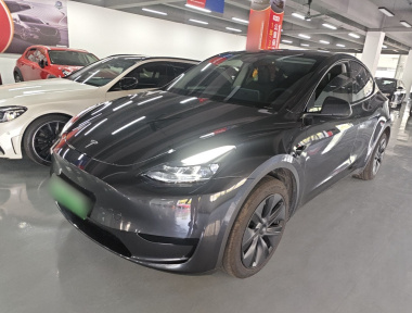 Tesla Model Y 2024 car image 
