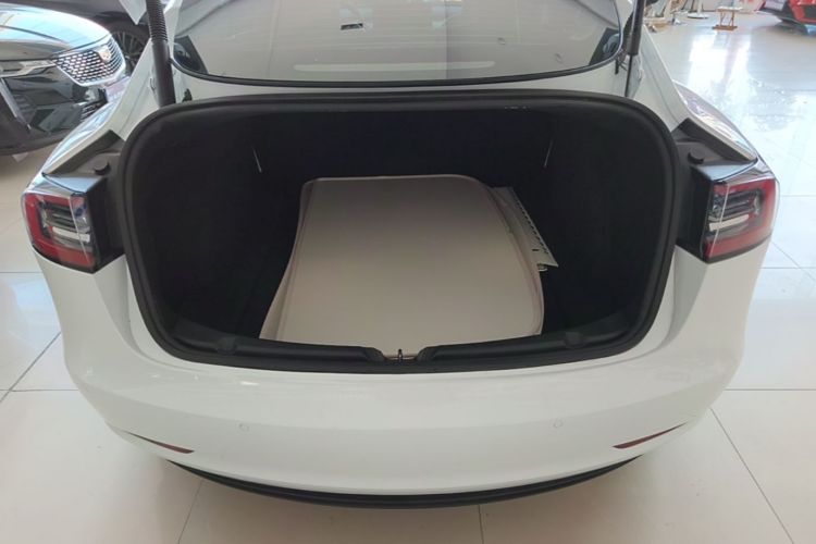 Tesla Model 3 2021 #21 Tesla Model 3 2021 car image #21