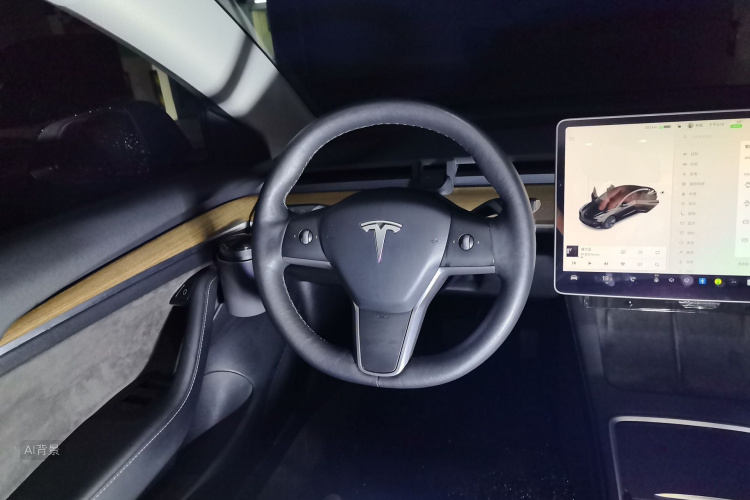 Tesla Model 3 2021 #12 Tesla Model 3 2021 car image #12