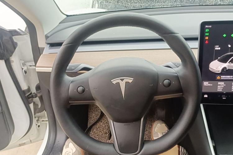 Tesla Model 3 2020 #11 Tesla Model 3 2020 car image #11