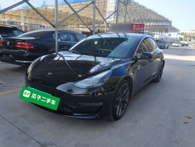 Tesla Model 3 2022 Tesla Model 3 2022 car image