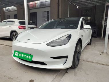 Tesla Model 3 2021 Tesla Model 3 2021 car image