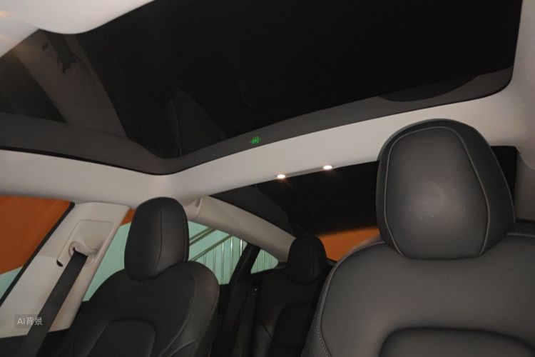 Tesla Model 3 2021 car image #20