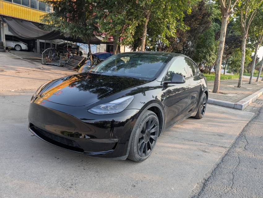 Tesla Model Y 2022 car image 