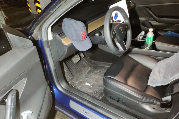 Tesla Model 3 2020 car image #18
