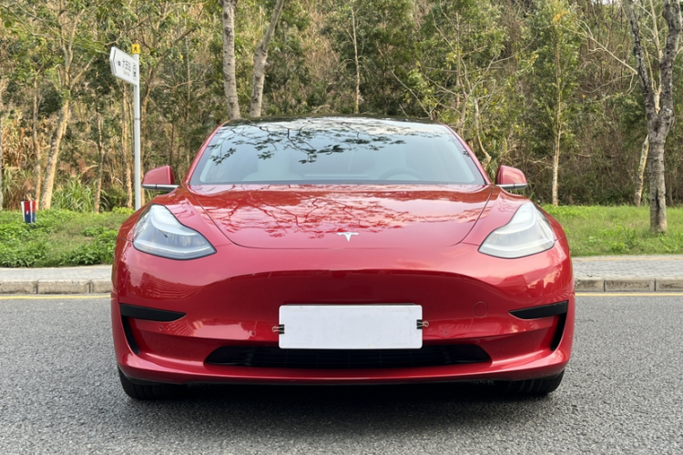 Tesla Model 3 2020 car image #3