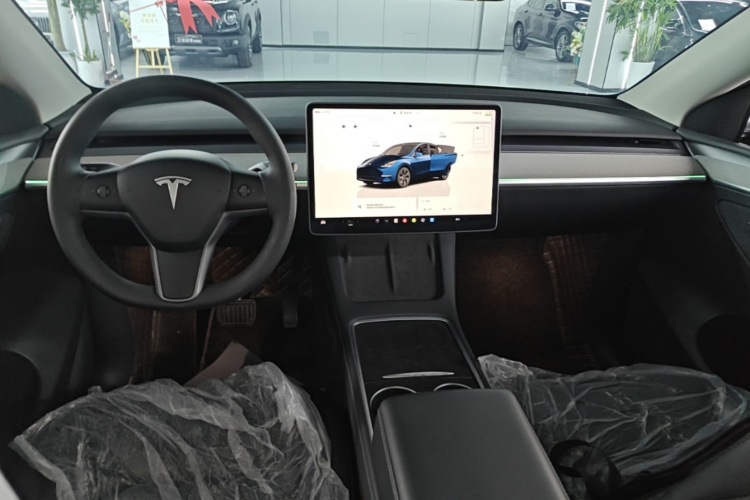 Tesla Model Y 2025 car image #11