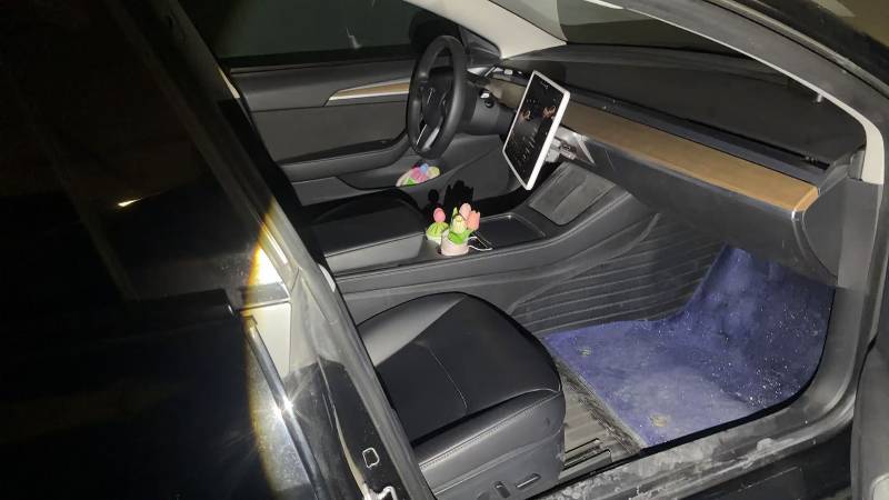 Tesla Model 3 2022 #5 Tesla Model 3 2022 car image #5
