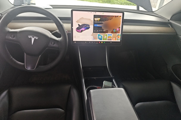 Tesla Model 3 2020 car image #10