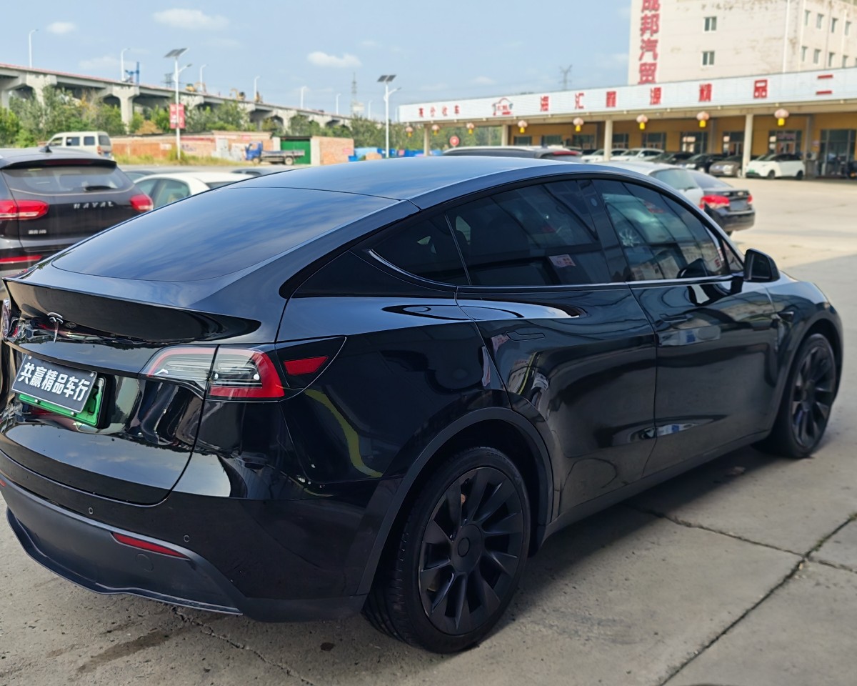 Tesla Model Y 2021 #3 Tesla Model Y 2021 car image #3