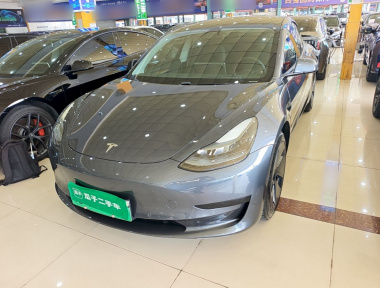 Tesla Model 3 2021 car image 