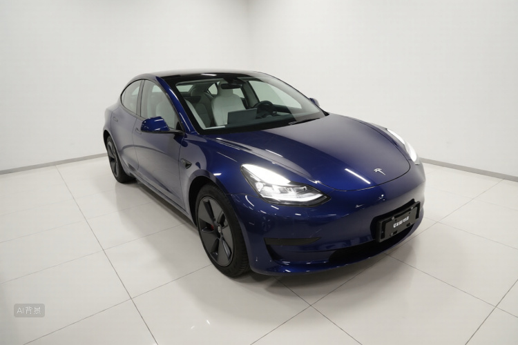 Tesla Model 3 2021 #4 Tesla Model 3 2021 car image #4