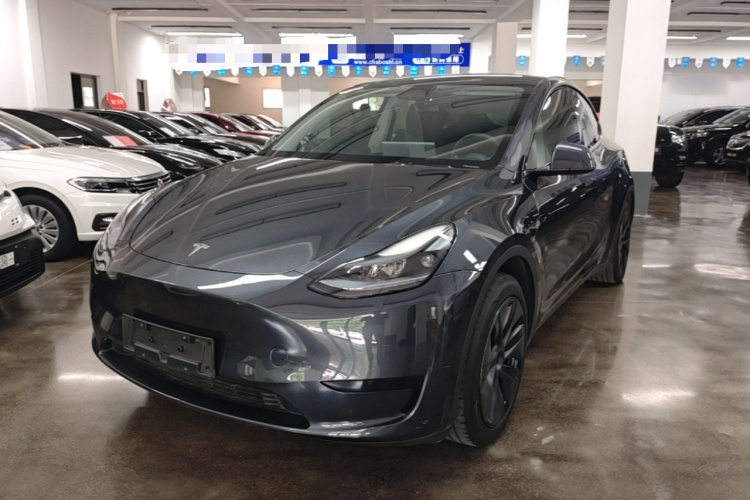 Tesla Model Y 2024 car image #2