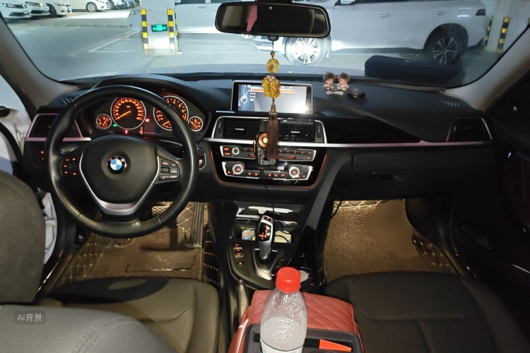 BMW 3 Series 2017 car image #11