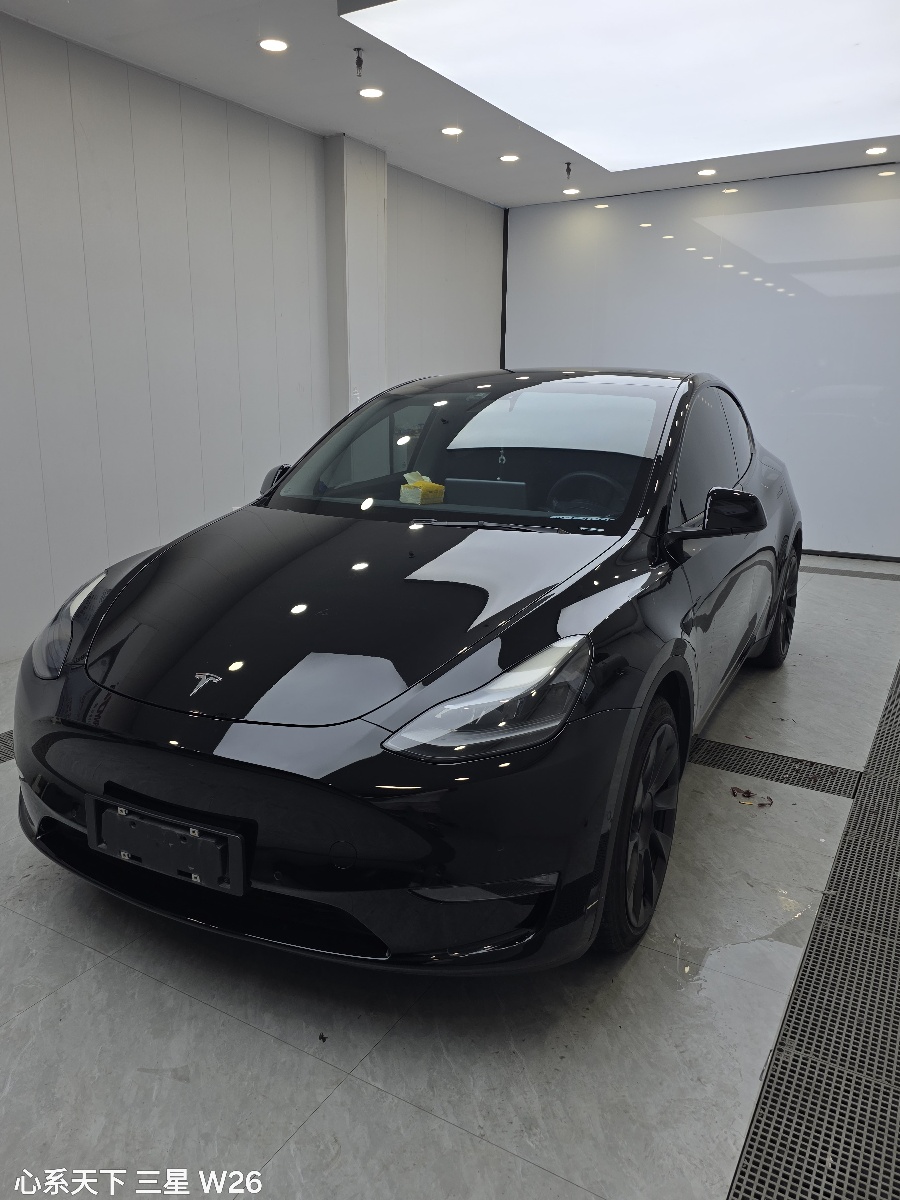 Tesla Model Y 2021 Tesla Model Y 2021 car image