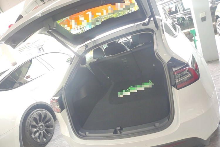 Tesla Model Y 2021 #19 Tesla Model Y 2021 car image #19