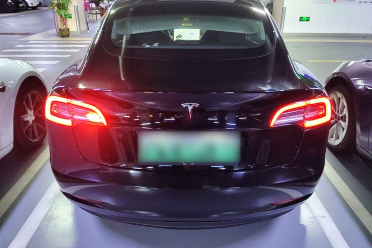 Tesla Model 3 2020 #6 Tesla Model 3 2020 car image #6