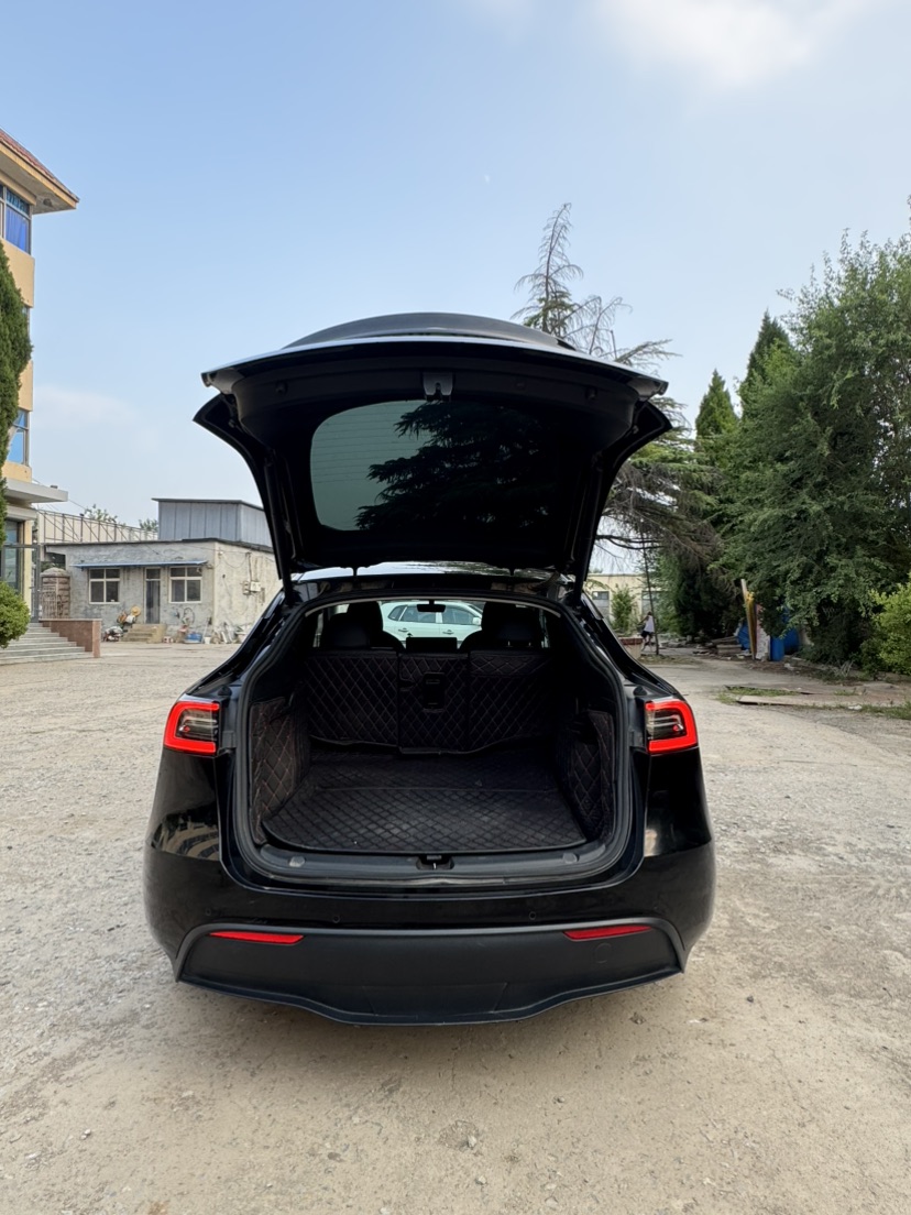 Tesla Model Y 2021 car image #9
