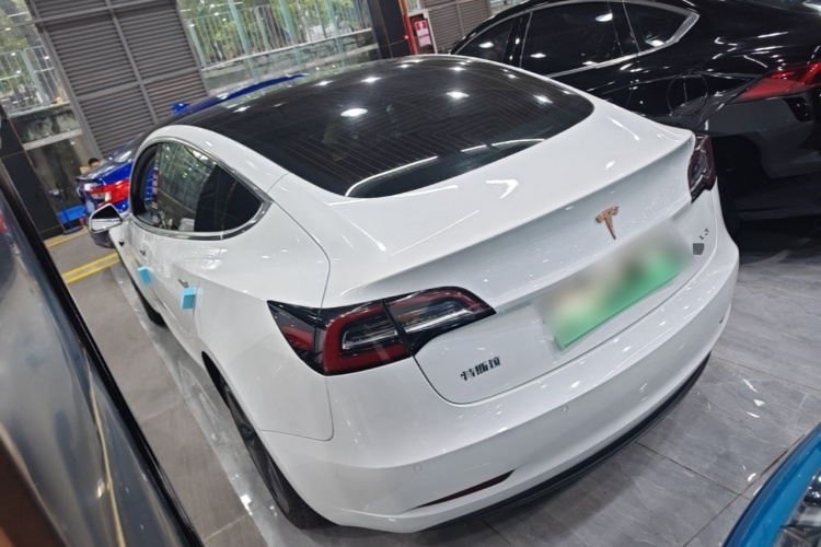Tesla Model 3 2020 #5 Tesla Model 3 2020 car image #5
