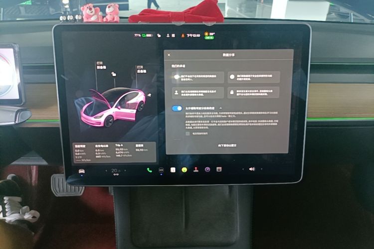 Tesla Model 3 2021 car image #13