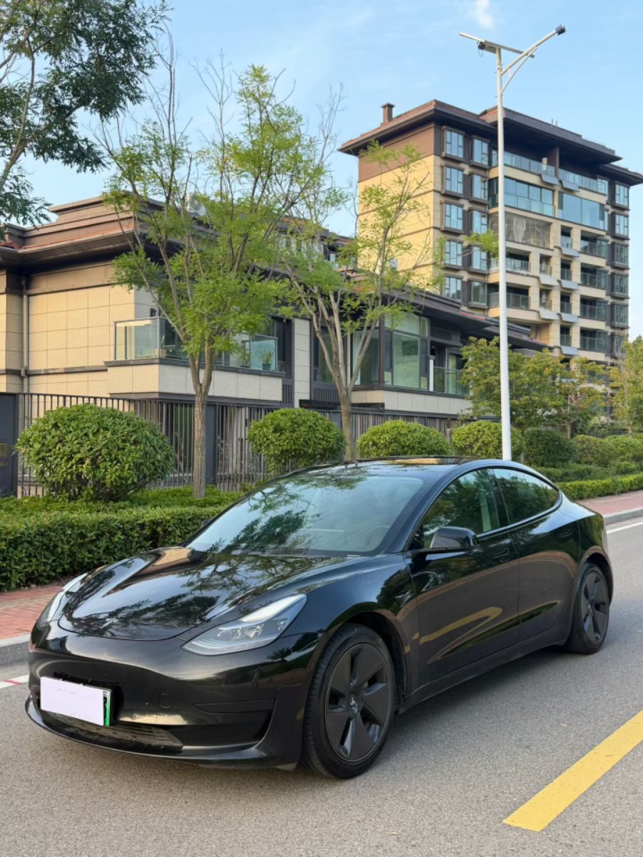 Tesla Model 3 2021 car image #3