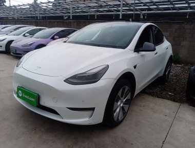 Tesla Model Y 2021 Tesla Model Y 2021 car image