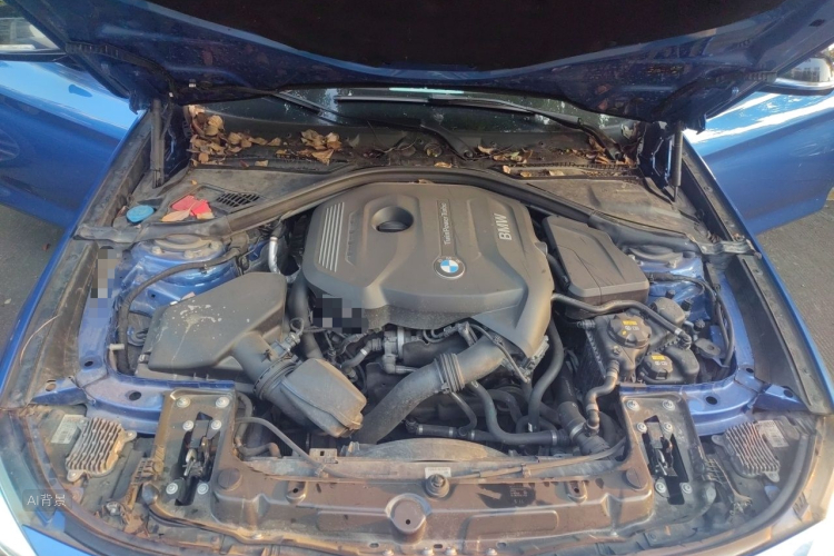 BMW 3 Series GT 2019 car image #22