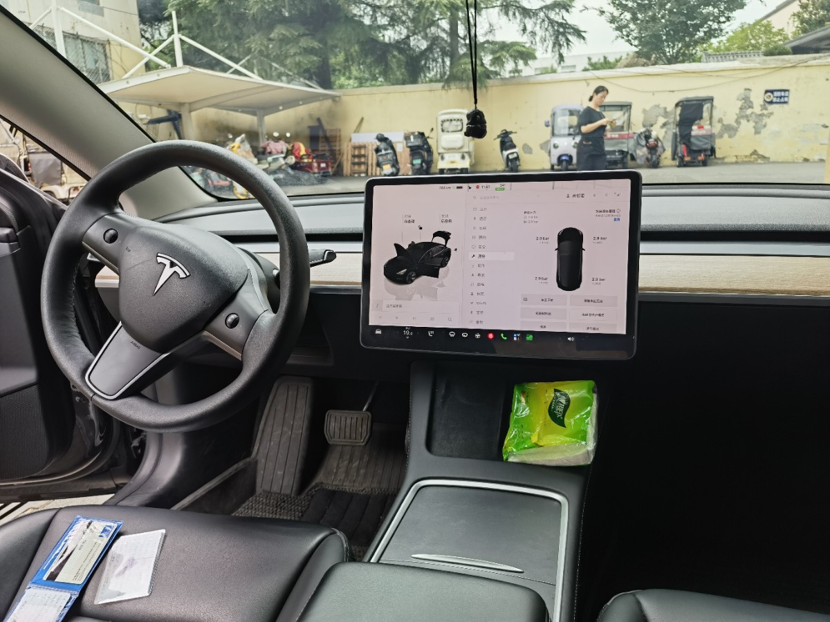 Tesla Model 3 2023 immagine di auto #3