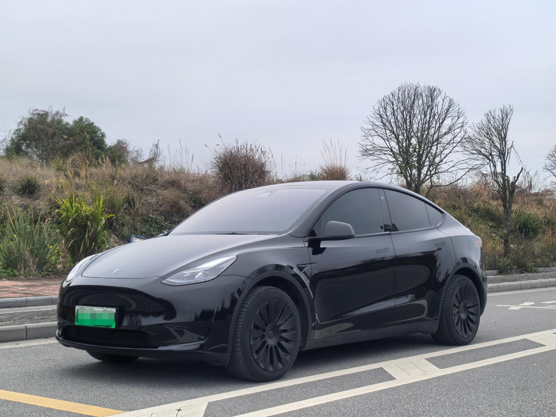 Tesla Model Y 2023 Tesla Model Y 2023 car image