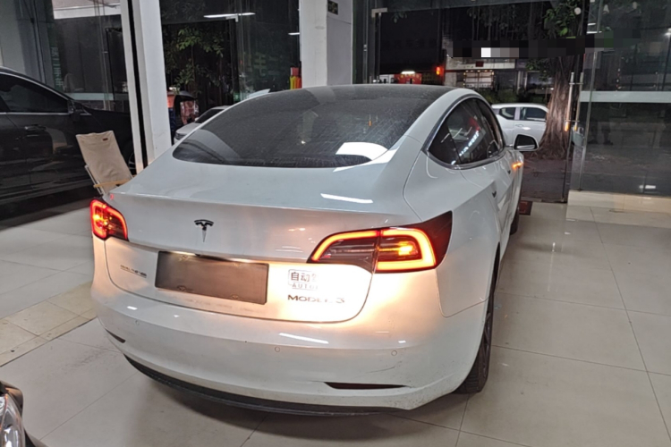 Tesla Model 3 2020 car image #6