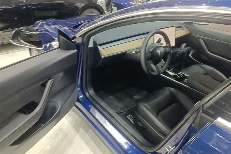 Tesla Model 3 2020 car image #16