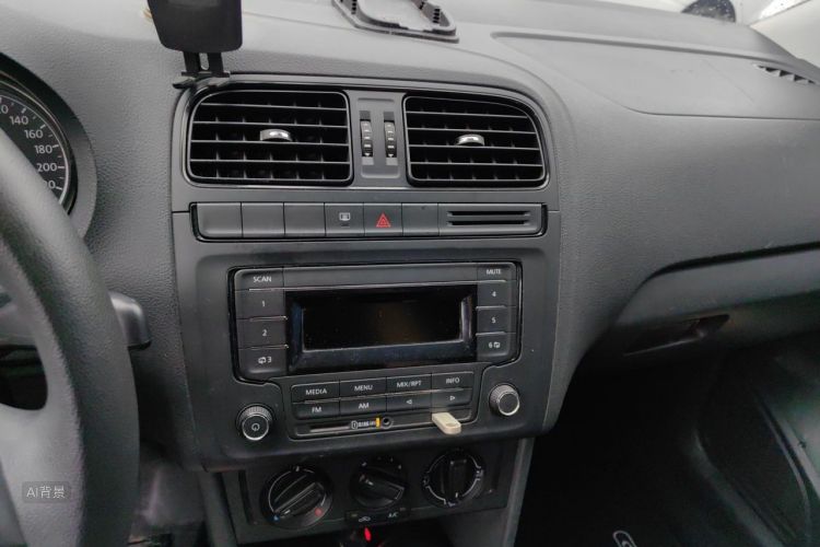 Volkswagen Polo 2014 car image #15