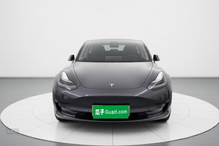 Tesla Model 3 2021 #3 Tesla Model 3 2021 car image #3