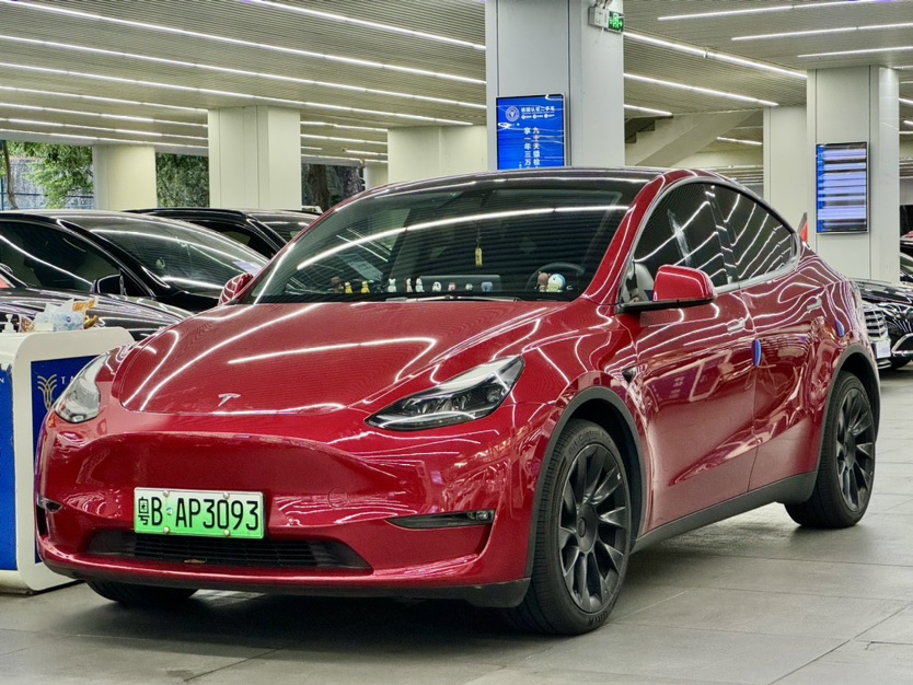 Tesla Model Y 2021 Tesla Model Y 2021 car image