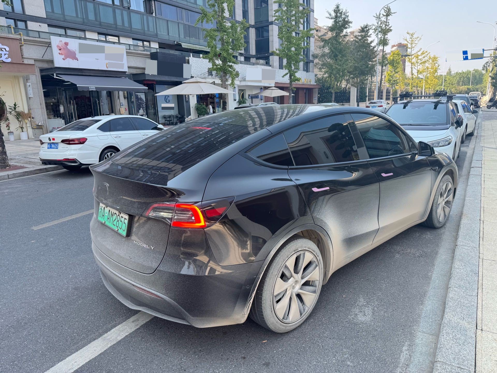 Tesla Model Y 2022 #9 Tesla Model Y 2022 صورة سيارة #9