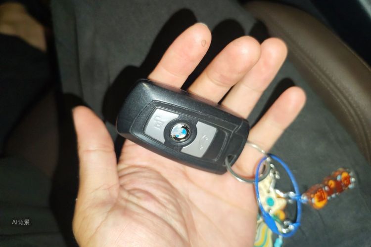 BMW 3 Series 2018 car image #10