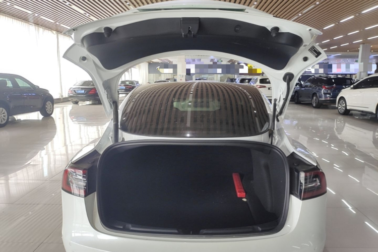 Tesla Model 3 2021 #19 Tesla Model 3 2021 immagine di auto #19