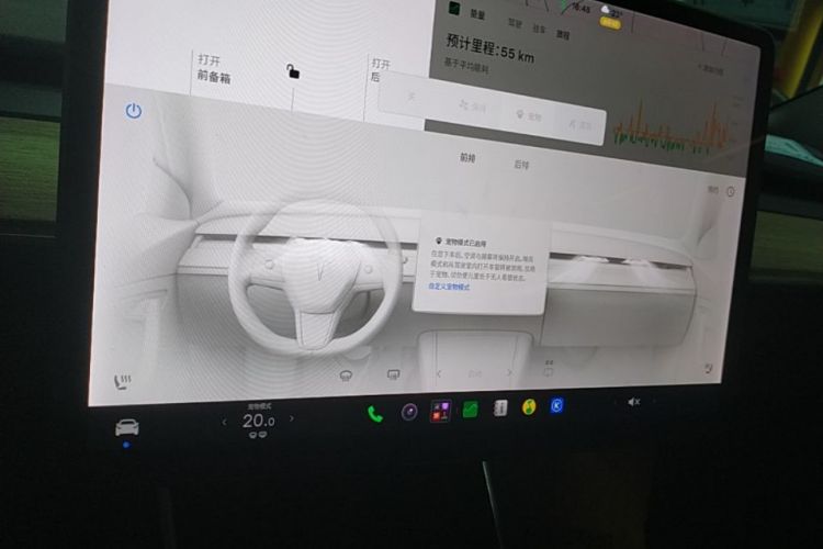 Tesla Model 3 2020 car image #13