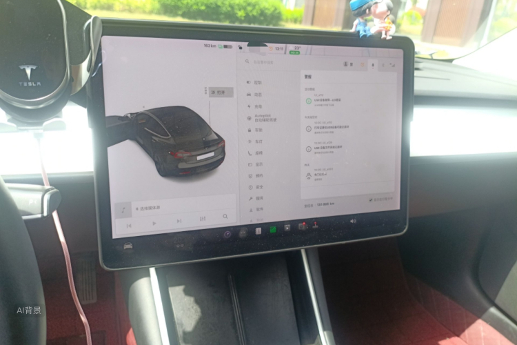 Tesla Model 3 2020 car image #13
