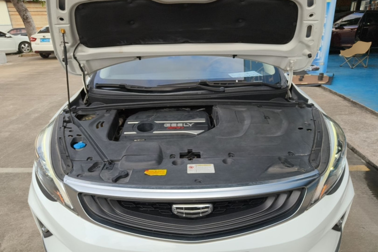 GEELY Emgrand GS 2019 imagen de coche #22
