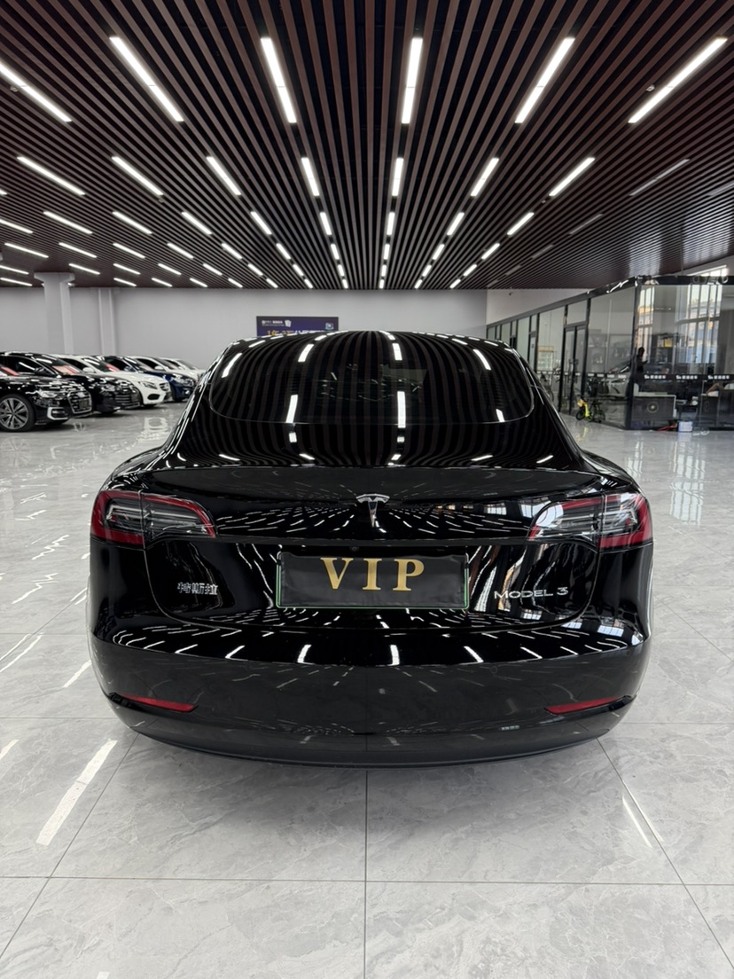 Tesla Model 3 2023 car image #8