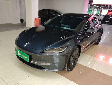 Tesla Model 3 2024 Tesla Model 3 2024 car image