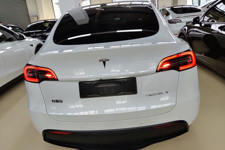 Tesla Model Y 2023 car image #6