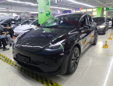 Tesla Model Y 2023 Tesla Model Y 2023 car image