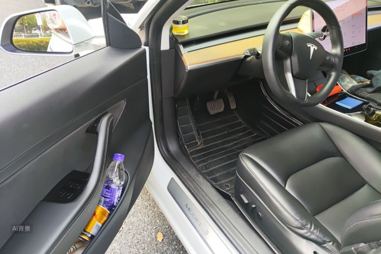 Tesla Model 3 2020 immagine di auto #18