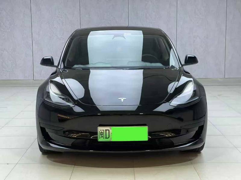 Tesla Model 3 2023 #2 Tesla Model 3 2023 car image #2