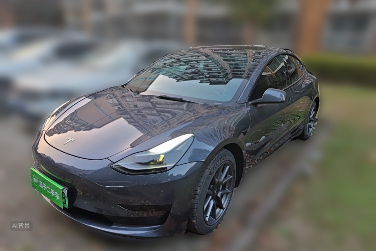Tesla Model 3 2022 #2 Tesla Model 3 2022 صورة سيارة #2