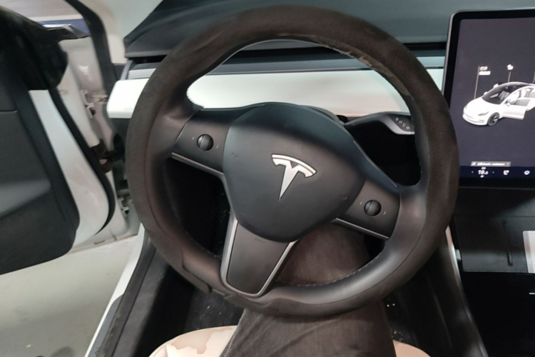 Tesla Model 3 2020 #15 Tesla Model 3 2020 car image #15