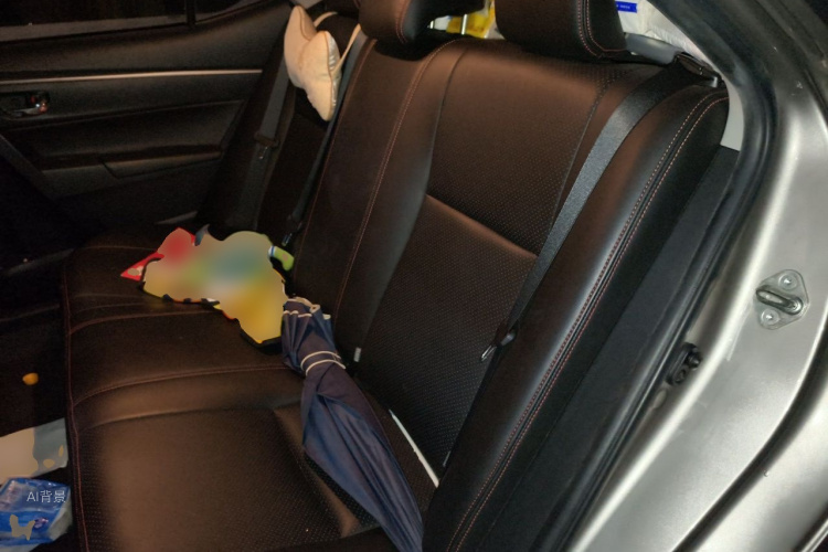 Toyota Corolla 2017 car image #19