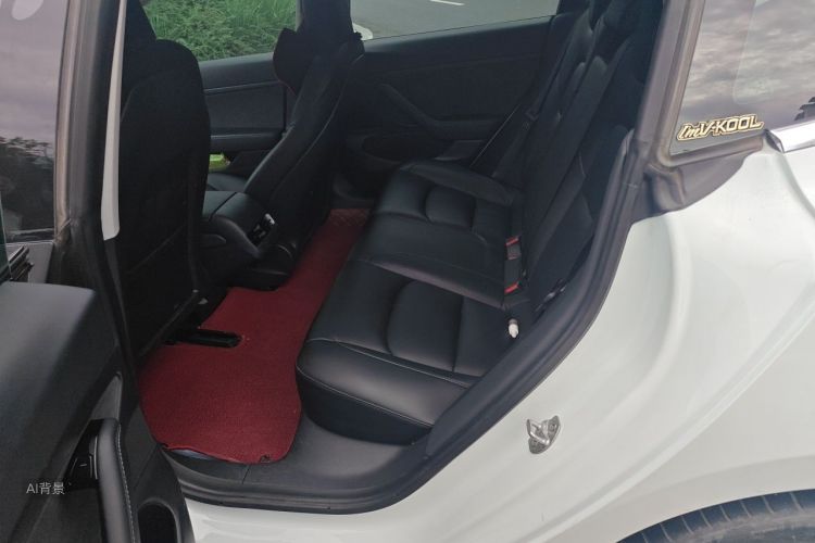 Tesla Model 3 2020 car image #19